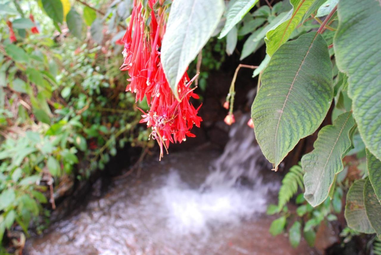 Iorana Hotel Urubamba Luaran gambar