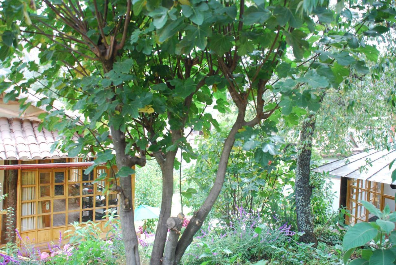 Iorana Hotel Urubamba Luaran gambar